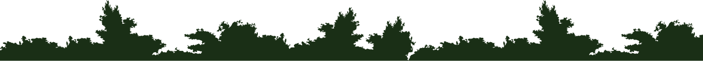 treeshadow